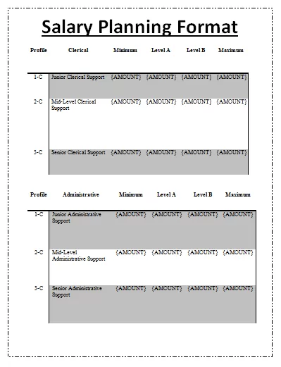 Salary Planning Format