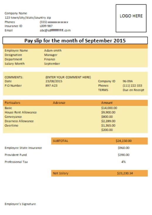 Monthly Pay Advice Template