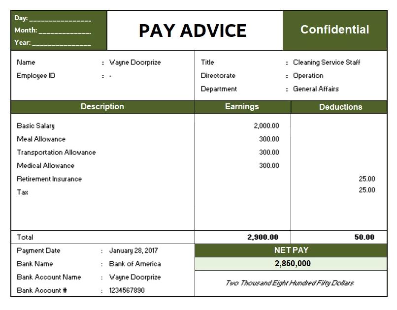 Professional Pay Advice Template