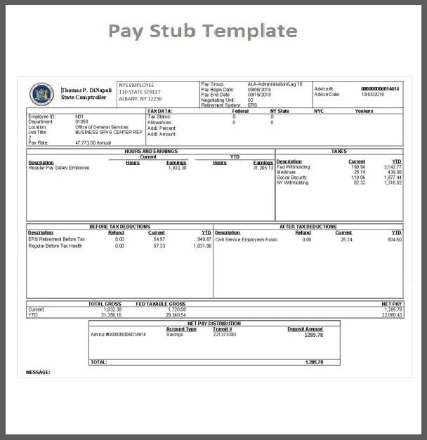 Blank Paystub Template