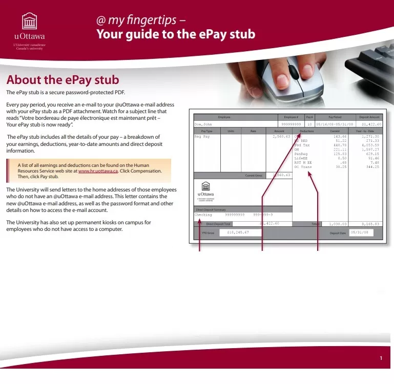 Pay Stub Guide Template