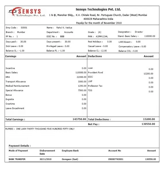 Payslip Design Template