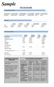 Sample Payslip